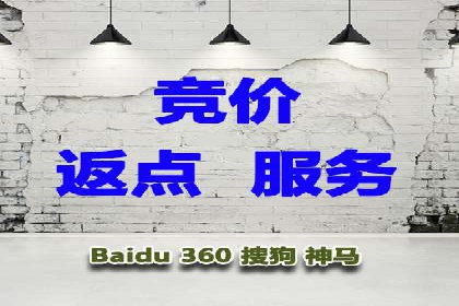 行业领先企业的SEM推广策略揭秘